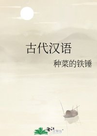 《古代汉语》