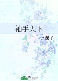 《袖手天下》