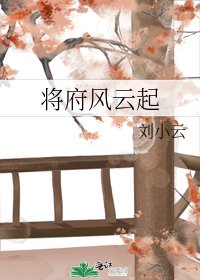 《将府风云起》