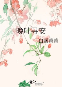 《晚叶寻安》