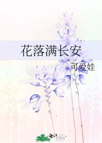 《花落满长安》
