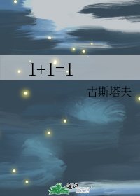 1+1=1