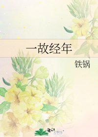 一故经年