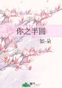 《你之半圆》