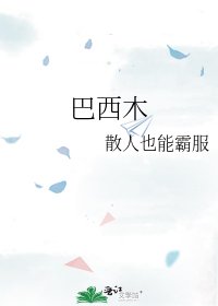 巴西木