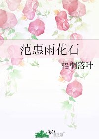 《范惠雨花石》