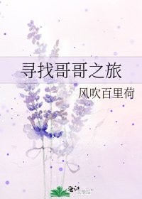 《寻找哥哥之旅》