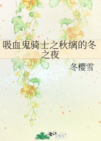 《吸血鬼骑士之秋缡的冬之夜》