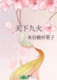 《天下九火》