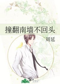 《撞翻南墙不回头》