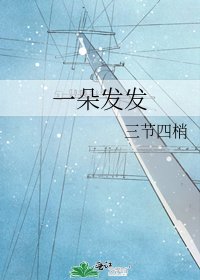 《一朵发发》