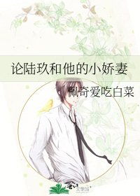 《论陆玖和他的小娇妻》