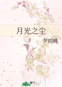 《月光之尘》