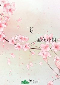 《飞》
