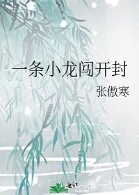 《一条小龙闯开封》