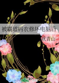 《被霸道码农修坏电脑后》