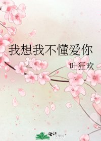 《我想我不懂爱你》