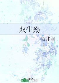 《双生殇》