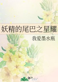 妖精的尾巴之星耀