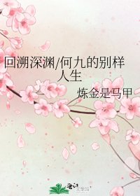 《回溯深渊/何九的别样人生》