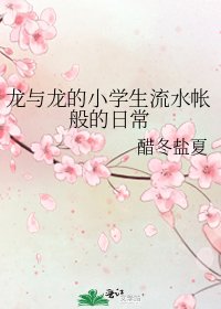 龙与龙的小学生流水帐般的日常