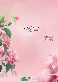 《一夜雪》