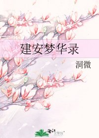 建安梦华录