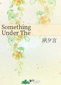 《Something Under The Snow》