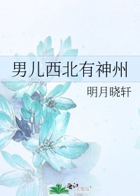 男儿西北有神州