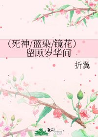 （死神/蓝染/镜花）留顾岁华间