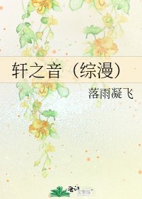 《轩之音(综漫)》