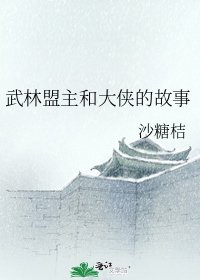 《武林盟主和大侠的故事》