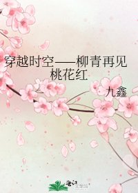 《穿越时空——柳青再见桃花红》