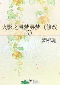 《火影之浔梦寻梦(修改版)》
