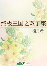 《终极三国之双子座》