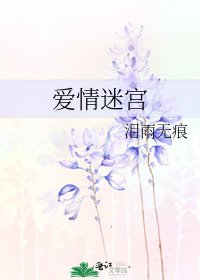 爱情迷宫