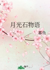 月光石物语