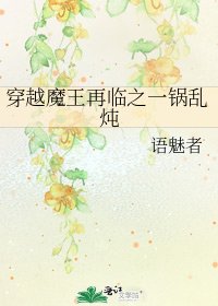 《穿越魔王再临之一锅乱炖》