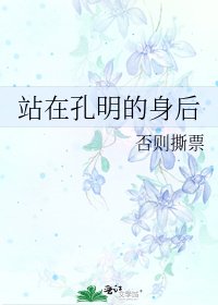 站在孔明的身后