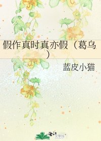 《假作真时真亦假(葛乌)》