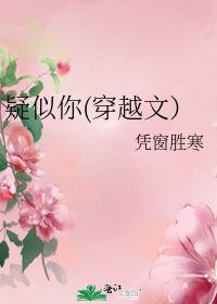 《疑似你(穿越文)》