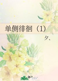 单侧徘徊（1）