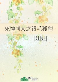 《死神同人之银毛狐狸》