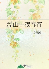 《浮山一夜春宵》