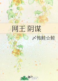 《网王 阴谋》
