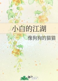 《小白的江湖》