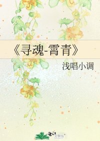《寻魂-霄青》