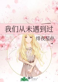 《我们从未遇到过》