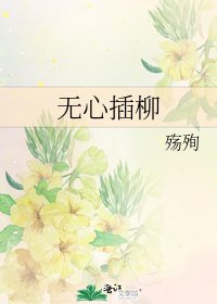 《无心插柳》