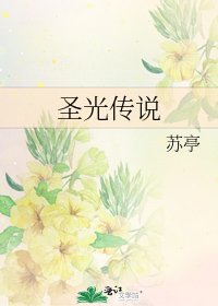 《圣光传说》
